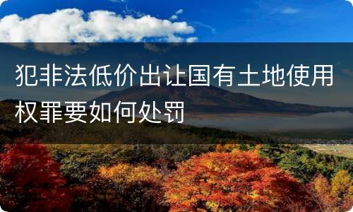 犯非法低价出让国有土地使用权罪要如何处罚