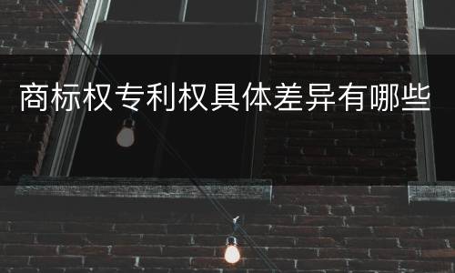 商标权专利权具体差异有哪些