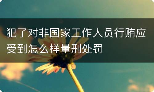犯了对非国家工作人员行贿应受到怎么样量刑处罚