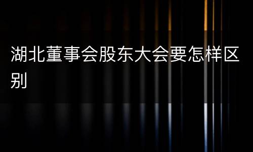 湖北董事会股东大会要怎样区别