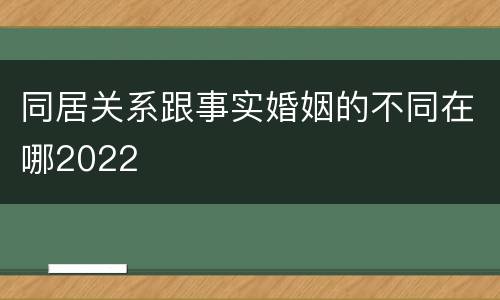 同居关系跟事实婚姻的不同在哪2022