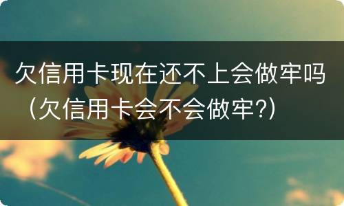 欠信用卡现在还不上会做牢吗（欠信用卡会不会做牢?）