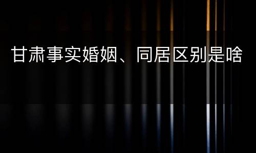 甘肃事实婚姻、同居区别是啥