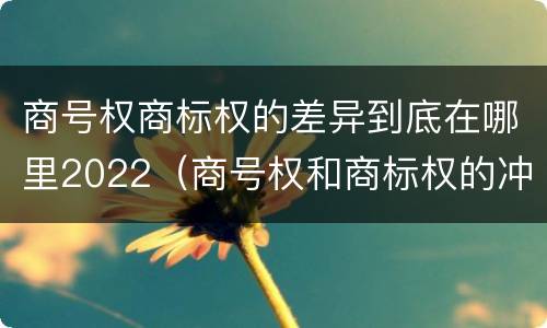 商号权商标权的差异到底在哪里2022（商号权和商标权的冲突和解决）