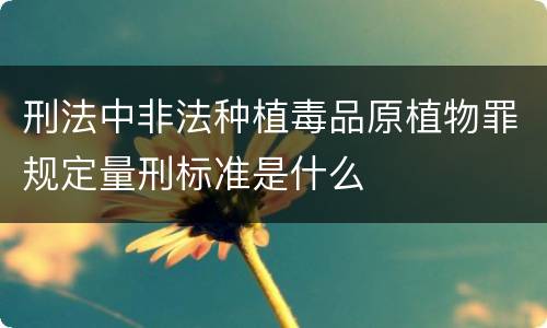 刑法中非法种植毒品原植物罪规定量刑标准是什么