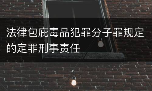 法律包庇毒品犯罪分子罪规定的定罪刑事责任