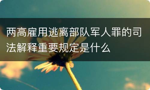 两高雇用逃离部队军人罪的司法解释重要规定是什么