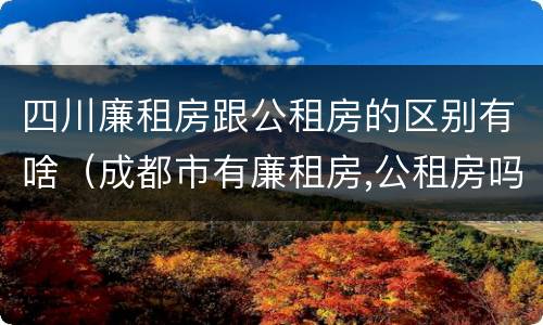 四川廉租房跟公租房的区别有啥（成都市有廉租房,公租房吗?有些什么条件?）