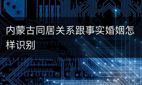 内蒙古同居关系跟事实婚姻怎样识别