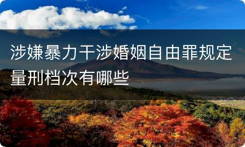涉嫌暴力干涉婚姻自由罪规定量刑档次有哪些