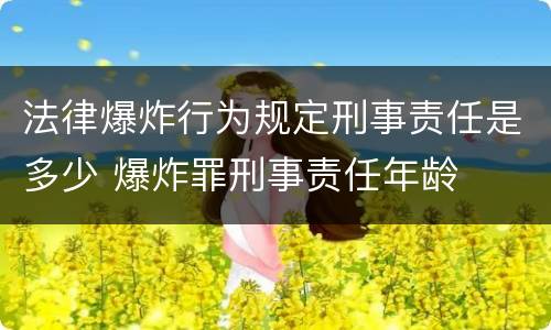 法律爆炸行为规定刑事责任是多少 爆炸罪刑事责任年龄