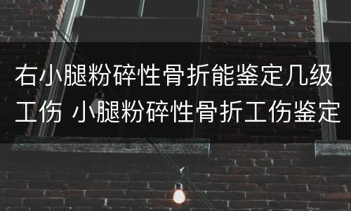 右小腿粉碎性骨折能鉴定几级工伤 小腿粉碎性骨折工伤鉴定能评上几级