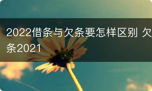 2022借条与欠条要怎样区别 欠条2021