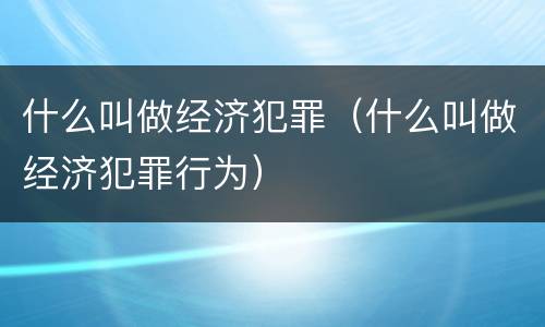 什么叫做经济犯罪（什么叫做经济犯罪行为）