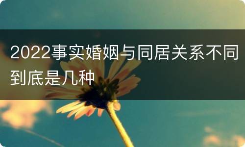 2022事实婚姻与同居关系不同到底是几种