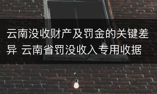 云南没收财产及罚金的关键差异 云南省罚没收入专用收据