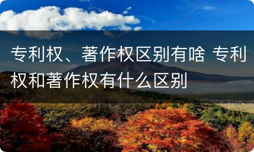 专利权、著作权区别有啥 专利权和著作权有什么区别