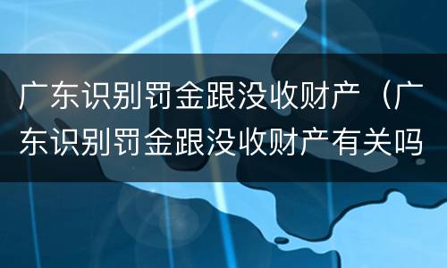 广东识别罚金跟没收财产（广东识别罚金跟没收财产有关吗）