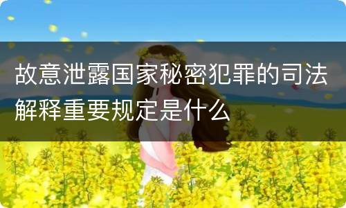 故意泄露国家秘密犯罪的司法解释重要规定是什么