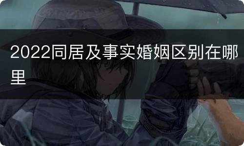 2022同居及事实婚姻区别在哪里