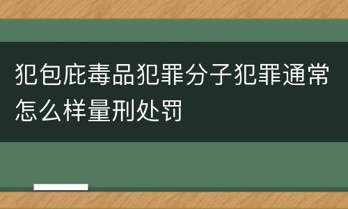 犯包庇毒品犯罪分子犯罪通常怎么样量刑处罚