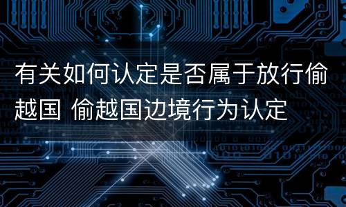 有关如何认定是否属于放行偷越国 偷越国边境行为认定