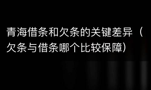 青海借条和欠条的关键差异（欠条与借条哪个比较保障）