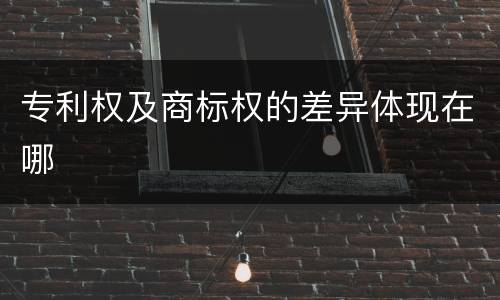 专利权及商标权的差异体现在哪
