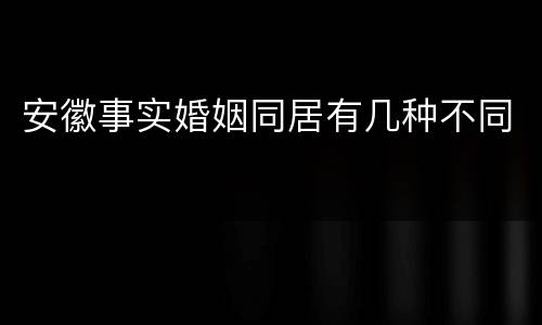 安徽事实婚姻同居有几种不同