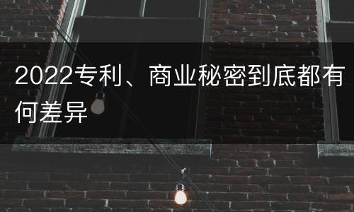 2022专利、商业秘密到底都有何差异