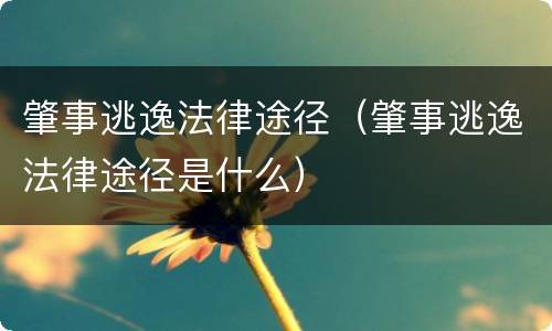肇事逃逸法律途径（肇事逃逸法律途径是什么）
