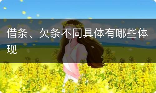 借条、欠条不同具体有哪些体现