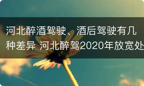 河北醉酒驾驶、酒后驾驶有几种差异 河北醉驾2020年放宽处罚