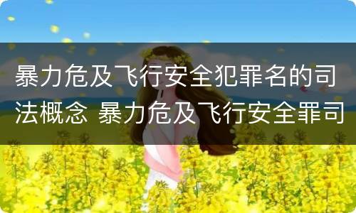 暴力危及飞行安全犯罪名的司法概念 暴力危及飞行安全罪司法解释