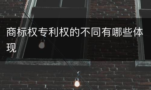 商标权专利权的不同有哪些体现