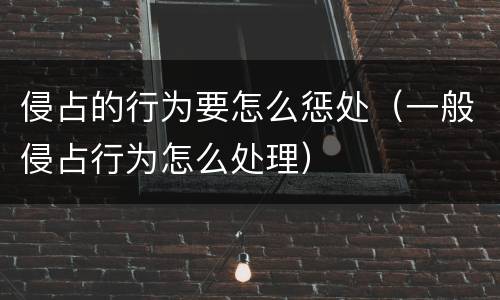 侵占的行为要怎么惩处（一般侵占行为怎么处理）