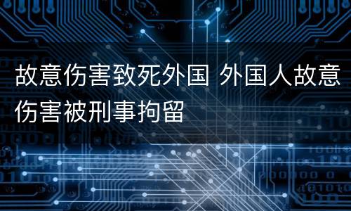 故意伤害致死外国 外国人故意伤害被刑事拘留