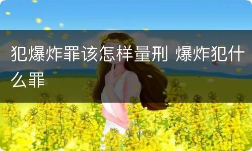 犯爆炸罪该怎样量刑 爆炸犯什么罪