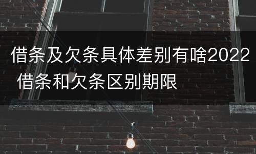 借条及欠条具体差别有啥2022 借条和欠条区别期限
