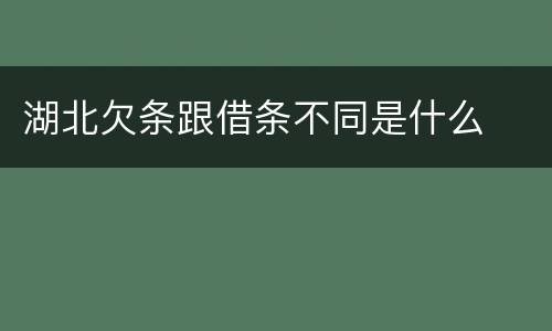 湖北欠条跟借条不同是什么
