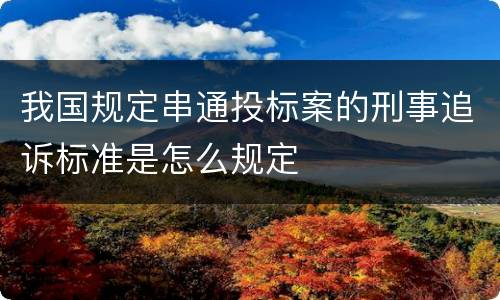 我国规定串通投标案的刑事追诉标准是怎么规定
