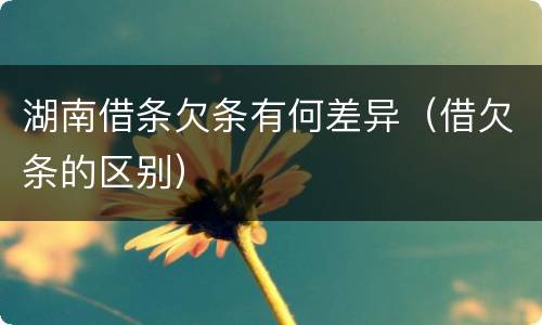 湖南借条欠条有何差异（借欠条的区别）