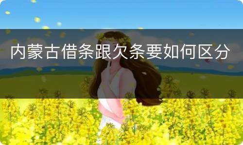 内蒙古借条跟欠条要如何区分