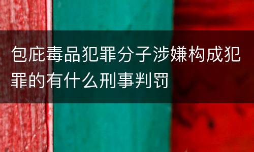 包庇毒品犯罪分子涉嫌构成犯罪的有什么刑事判罚