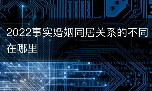 2022事实婚姻同居关系的不同在哪里