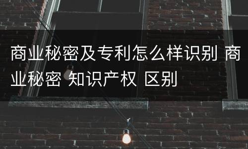 商业秘密及专利怎么样识别 商业秘密 知识产权 区别