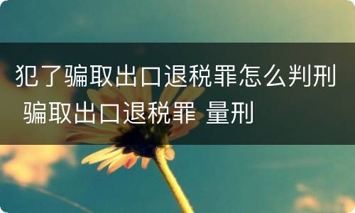 犯了骗取出口退税罪怎么判刑 骗取出口退税罪 量刑