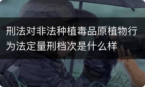 刑法对非法种植毒品原植物行为法定量刑档次是什么样