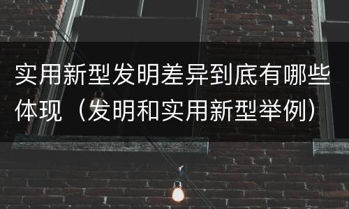 实用新型发明差异到底有哪些体现（发明和实用新型举例）