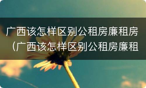 广西该怎样区别公租房廉租房（广西该怎样区别公租房廉租房呢）